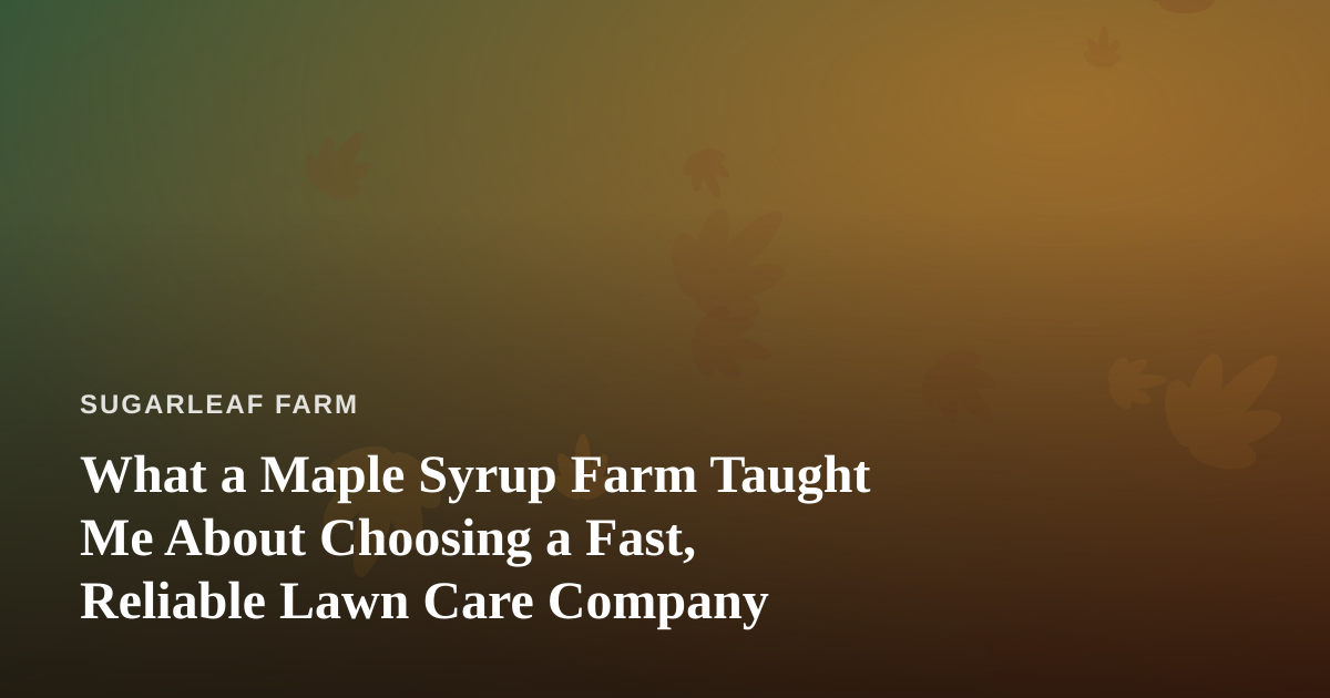 What a Maple Syrup Farm Taught Me About Choosing a Fast, Reliable Lawn Care Company