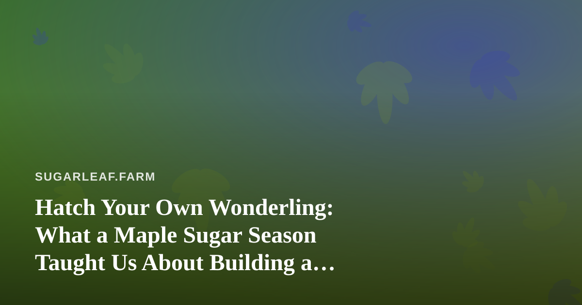 Hatch Your Own Wonderling: What a Maple Sugar Season Taught Us About Building a Cozy Island